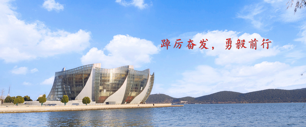 踔厉奋发，勇毅前行